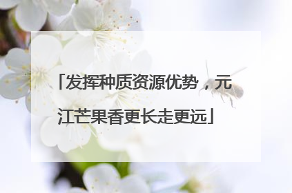 发挥种质资源优势，元江芒果香更长走更远