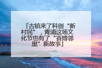 古镇来了科创“新村民”，青浦这场文化节也有了“赛博邻里”新故事