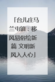 台儿庄马兰屯镇：移风易俗绘新篇 文明新风入人心
