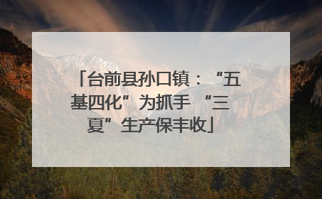 台前县孙口镇：“五基四化”为抓手 “三夏”生产保丰收