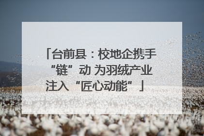 台前县：校地企携手“链”动 为羽绒产业注入“匠心动能”