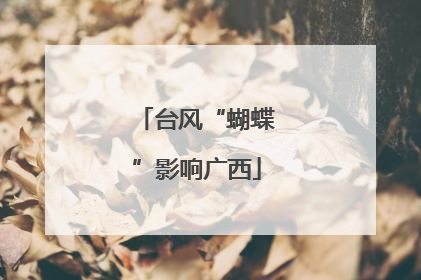台风“蝴蝶”影响广西