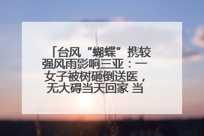 台风“蝴蝶”携较强风雨影响三亚：一女子被树砸倒送医，无大碍当天回家 当地已紧急清障