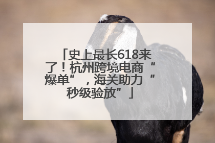 史上最长618来了！杭州跨境电商“爆单”，海关助力“秒级验放”