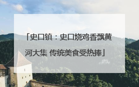 史口镇：史口烧鸡香飘黄河大集 传统美食受热捧