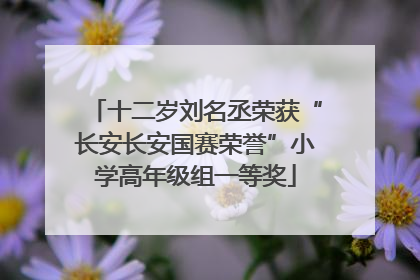 十二岁刘名丞荣获“长安长安国赛荣誉”小学高年级组一等奖