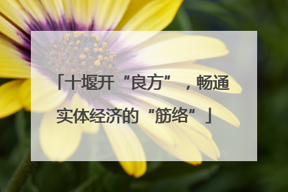 十堰开“良方”，畅通实体经济的“筋络”