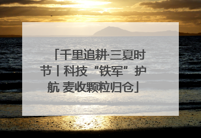千里追耕·三夏时节丨科技“铁军”护航 麦收颗粒归仓