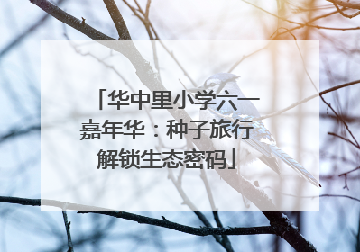 华中里小学六一嘉年华：种子旅行解锁生态密码