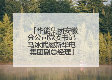 华能集团安徽分公司党委书记马冰武履新华电集团副总经理