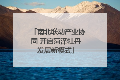 南北联动产业协同 开启菏泽牡丹发展新模式