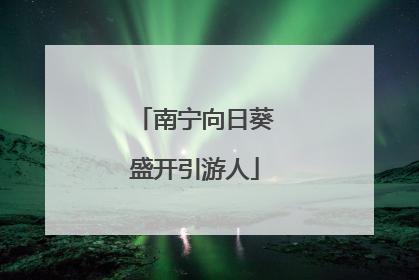 南宁向日葵盛开引游人