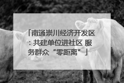 南通崇川经济开发区：共建单位进社区 服务群众“零距离”