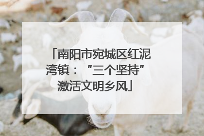 南阳市宛城区红泥湾镇：“三个坚持”激活文明乡风