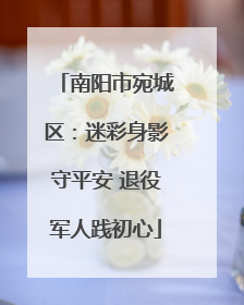 南阳市宛城区：迷彩身影守平安 退役军人践初心