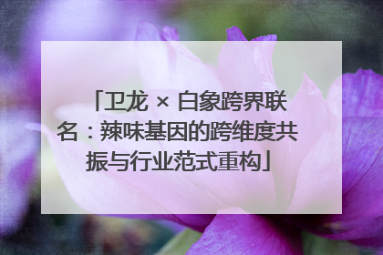 卫龙 × 白象跨界联名：辣味基因的跨维度共振与行业范式重构
