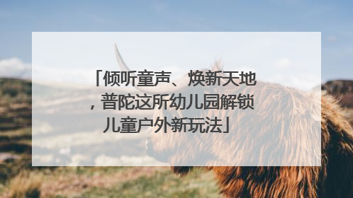 倾听童声、焕新天地，普陀这所幼儿园解锁儿童户外新玩法
