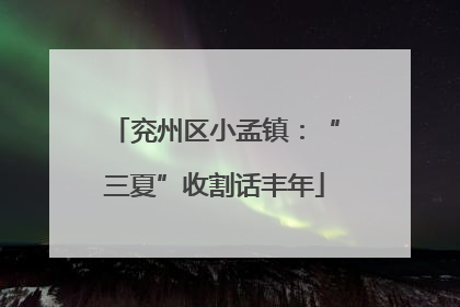 兖州区小孟镇：“三夏”收割话丰年