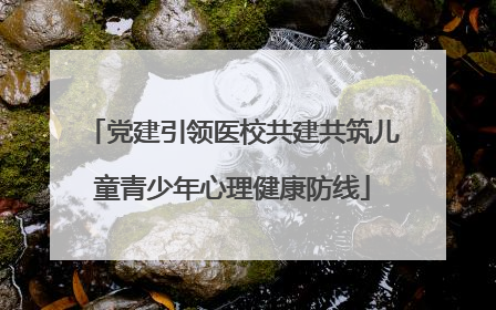 党建引领医校共建共筑儿童青少年心理健康防线