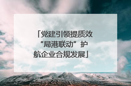 党建引领提质效 “局港联动”护航企业合规发展