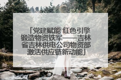 党建赋能 红色引擎锻造物资铁军——吉林省吉林供电公司物资部激活供应链新动能