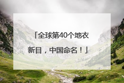 全球第40个地衣新目，中国命名！