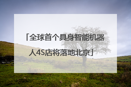 全球首个具身智能机器人4S店将落地北京