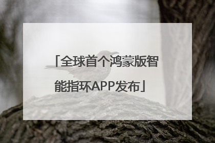 全球首个鸿蒙版智能指环APP发布