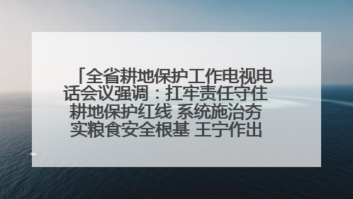 全省耕地保护工作电视电话会议强调：扛牢责任守住耕地保护红线 系统施治夯实粮食安全根基 王宁作出批示 王予波出席并讲话
