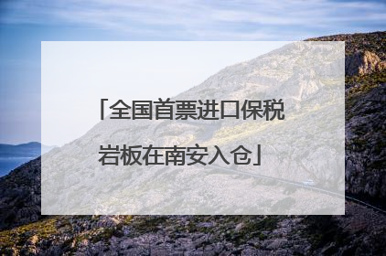 全国首票进口保税岩板在南安入仓