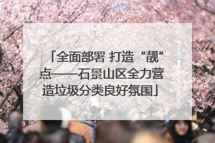 全面部署 打造“靓” 点——石景山区全力营造垃圾分类良好氛围