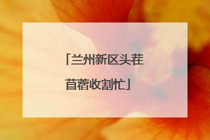 兰州新区头茬苜蓿收割忙