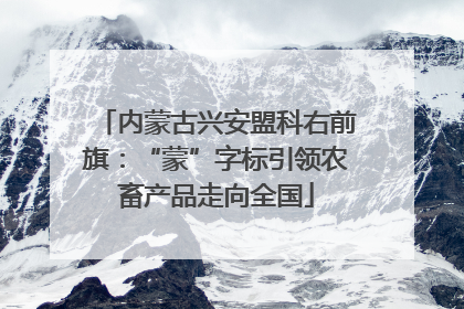 内蒙古兴安盟科右前旗：“蒙”字标引领农畜产品走向全国