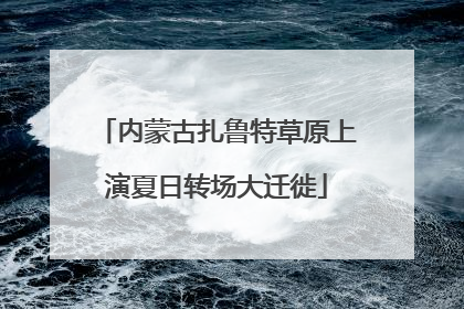 内蒙古扎鲁特草原上演夏日转场大迁徙