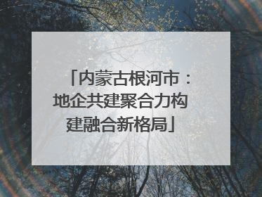 内蒙古根河市：地企共建聚合力构建融合新格局