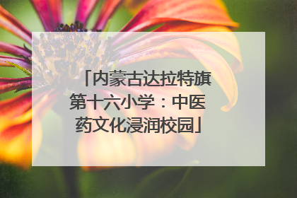 内蒙古达拉特旗第十六小学：中医药文化浸润校园