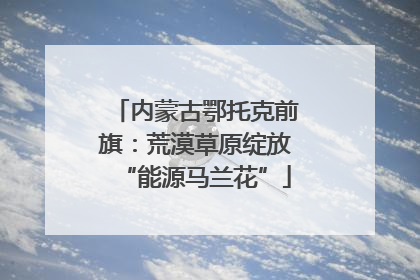 内蒙古鄂托克前旗：荒漠草原绽放“能源马兰花”