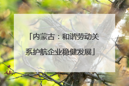 内蒙古：和谐劳动关系护航企业稳健发展