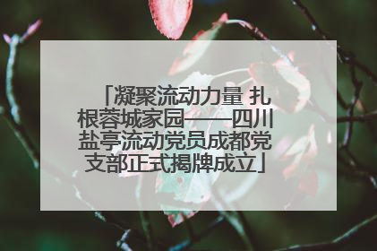 凝聚流动力量 扎根蓉城家园——四川盐亭流动党员成都党支部正式揭牌成立