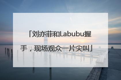 刘亦菲和Labubu握手，现场观众一片尖叫