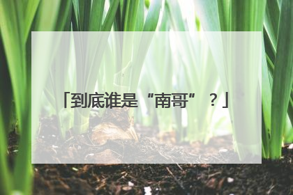 到底谁是“南哥”？