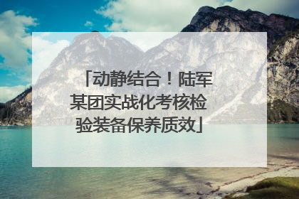动静结合！陆军某团实战化考核检验装备保养质效