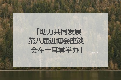 助力共同发展 第八届进博会座谈会在土耳其举办