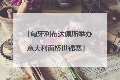 匈牙利布达佩斯举办意大利面桥世锦赛