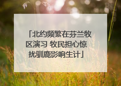 北约频繁在芬兰牧区演习 牧民担心惊扰驯鹿影响生计