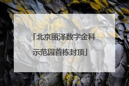 北京丽泽数字金科示范园首栋封顶