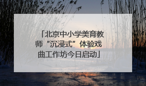 北京中小学美育教师“沉浸式”体验戏曲工作坊今日启动