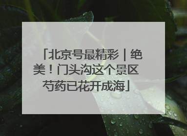 北京号最精彩｜绝美！门头沟这个景区芍药已花开成海
