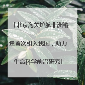北京海关护航非洲鳉鱼首次引入我国，助力生命科学前沿研究