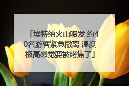 埃特纳火山喷发 约40名游客紧急撤离 温度极高感觉要被烤焦了